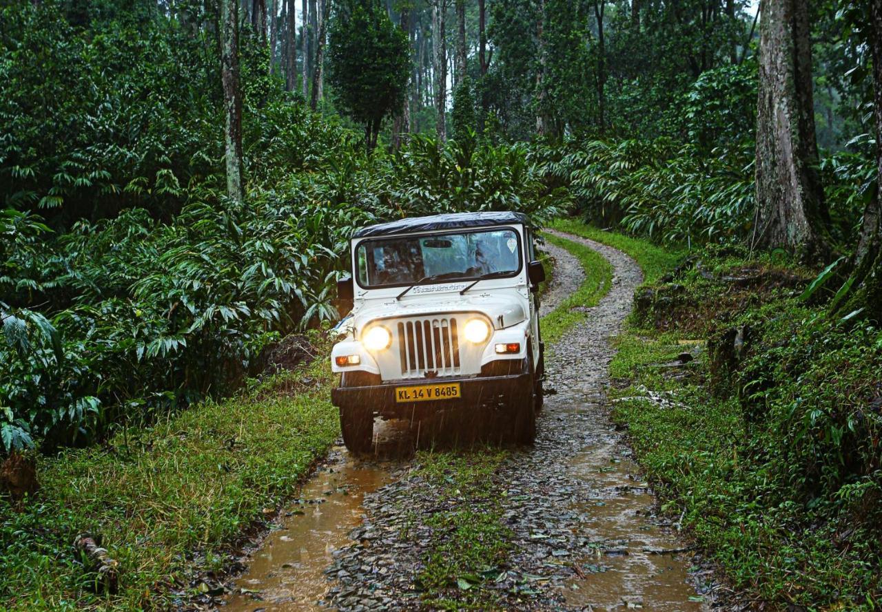 Dew Drops Farm Resorts Munnar Extérieur photo
